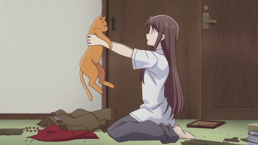 Fruits Basket (2019) Ep 01 -_00084.png